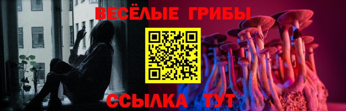 Галлюциногенные грибы мухоморы  Галлюциногенные грибы прущие грибы  Вход с VPN  цены   Гулькевичи 